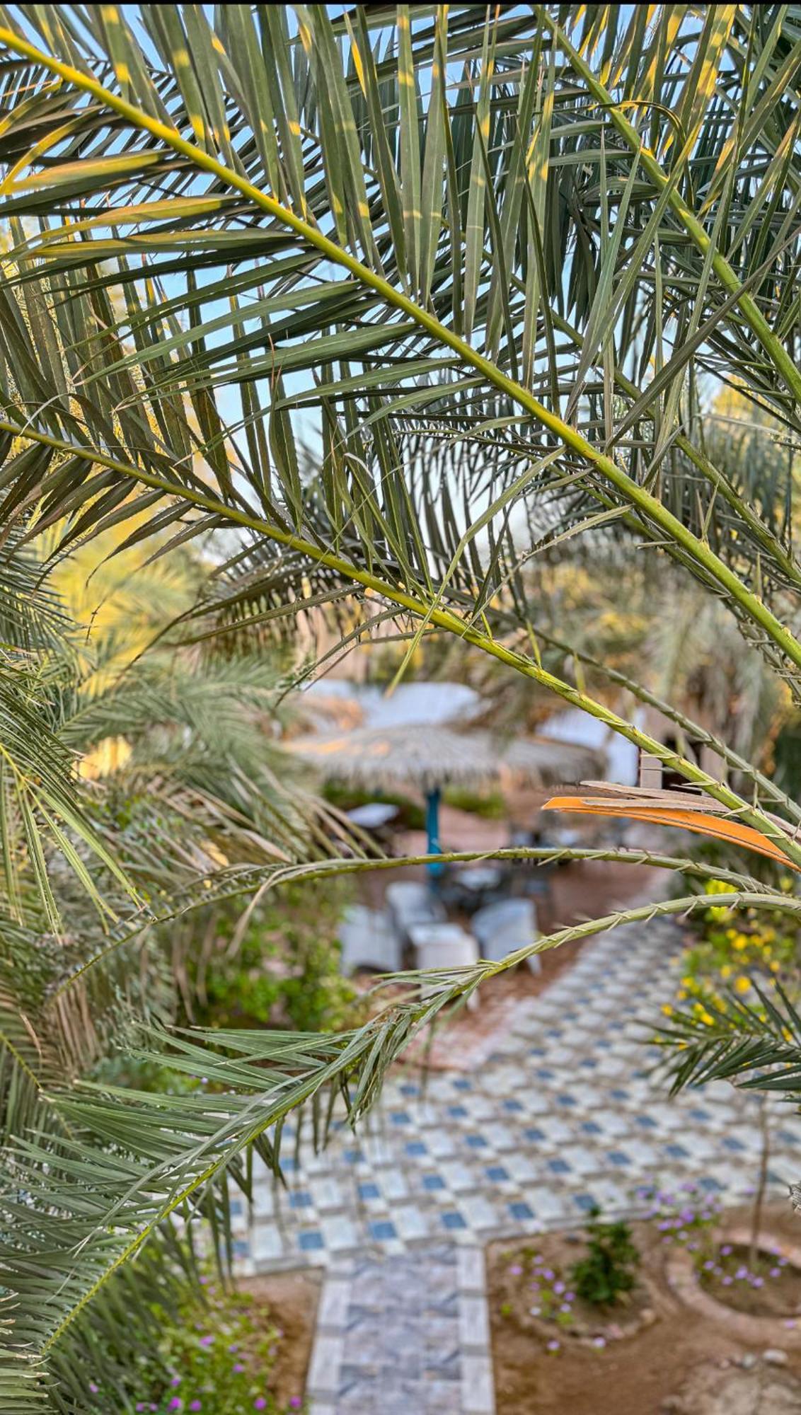 Отель Miramar Camp Дахаб Экстерьер фото
